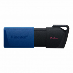 Memoria USB  Kingston Technology DTXM/64GB